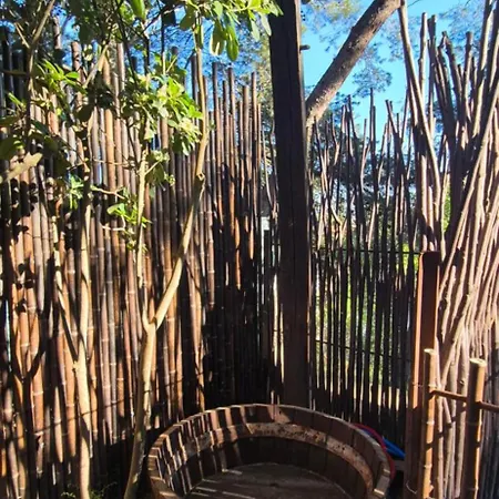 Vakantiehuis Casalegria La Franqui *