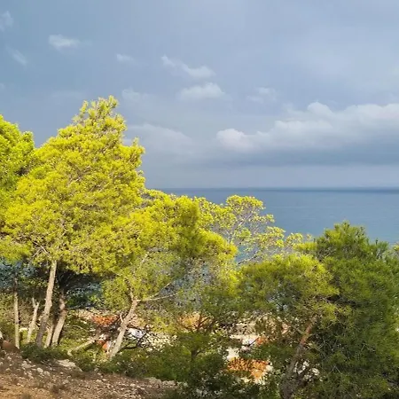 Vakantiehuis Casalegria La Franqui *