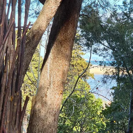 Casalegria La Franqui * Leucate