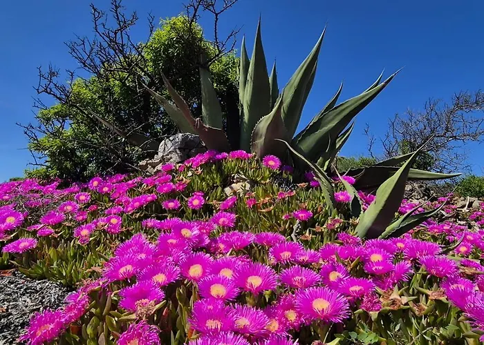 Casa vacanze Casalegria La Franqui Leucate