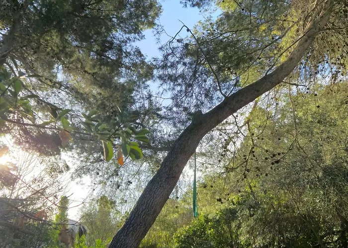 Casalegria La Franqui