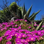 Hébergement de vacances Casalegria La Franqui Leucate