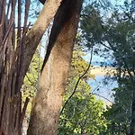 Casalegria La Franqui * Leucate