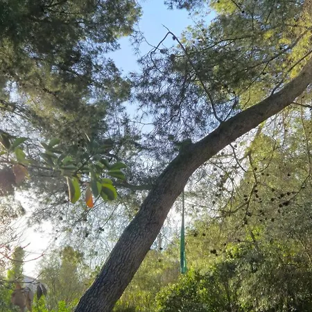 Casalegria La Franqui